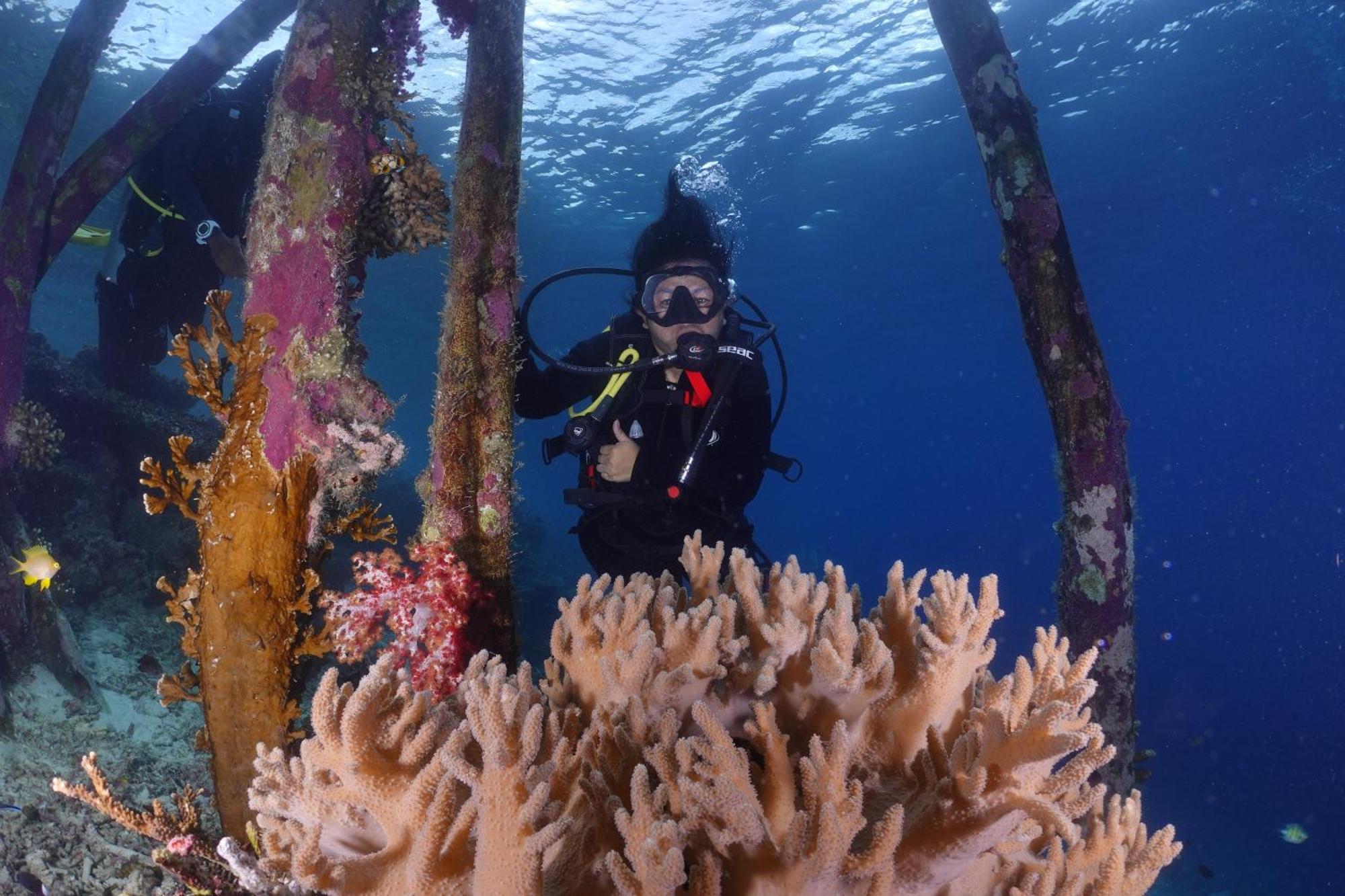 Amoryg Resort And Dive Raja Ampat Pulau Mansuar Esterno foto