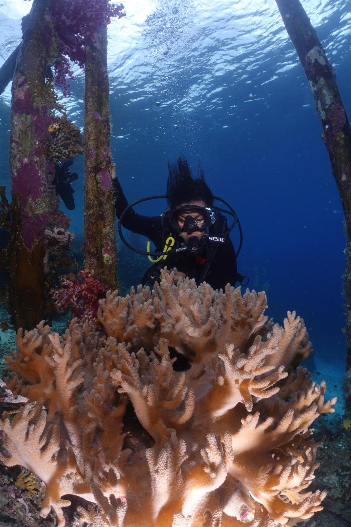 Amoryg Resort And Dive Raja Ampat Pulau Mansuar Esterno foto