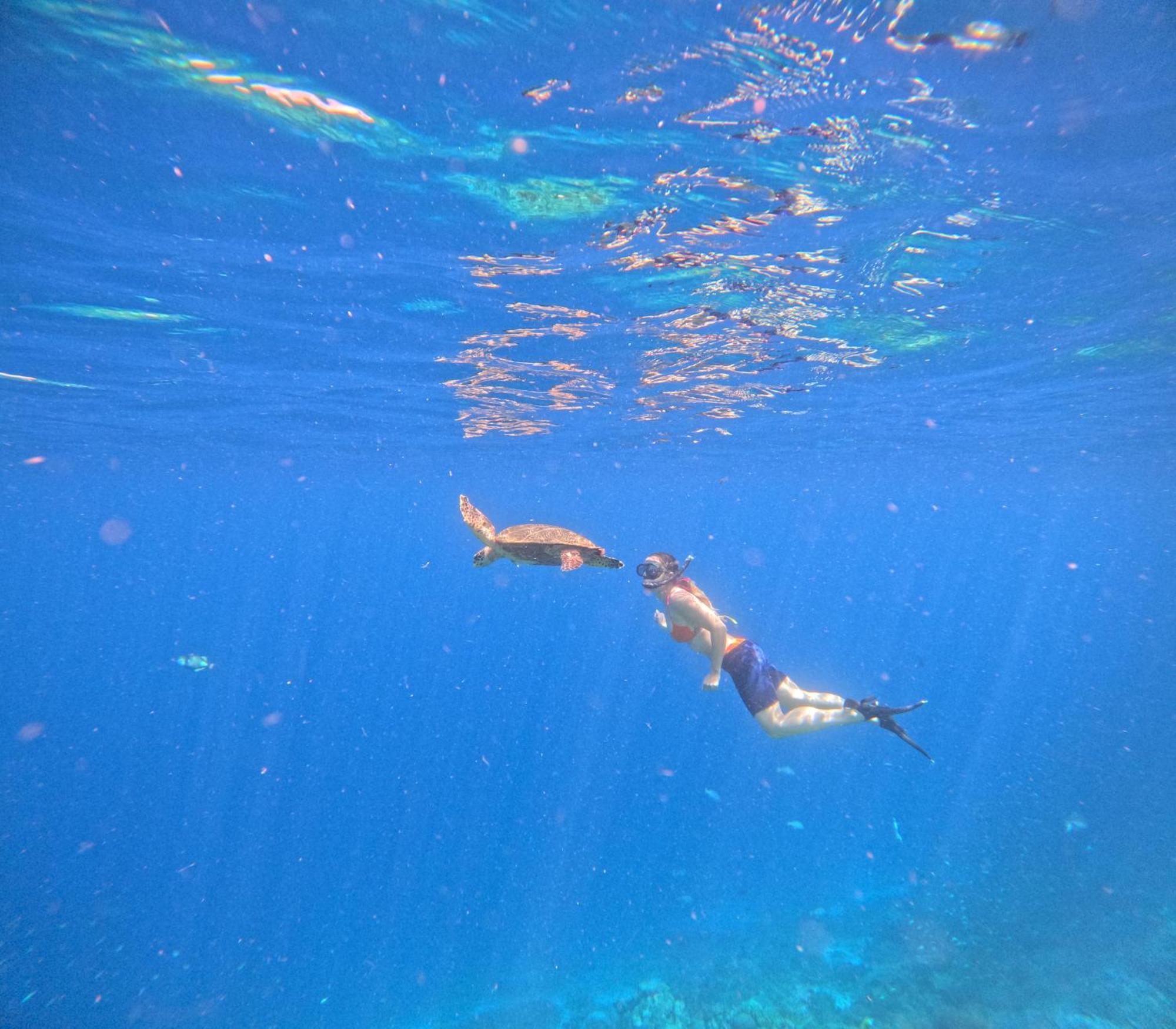 Amoryg Resort And Dive Raja Ampat Pulau Mansuar Esterno foto